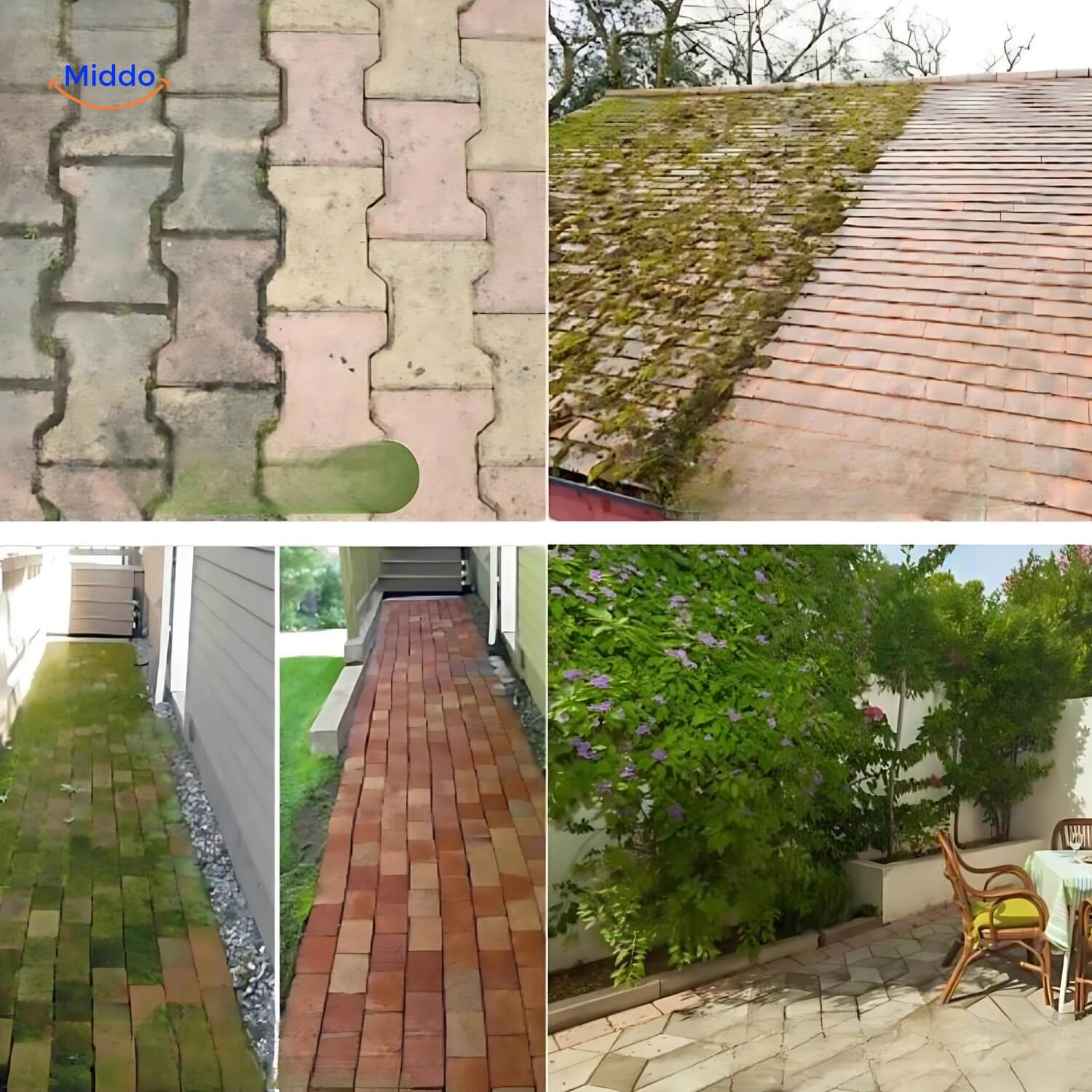 Weedmaster™ | Naadloze Onkruidborstel Met Draadwielen Voor Gazon- En Tuinonderhoud