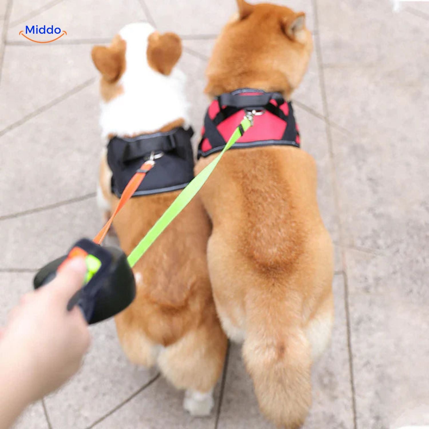 Twintails™ Easywalk | 2-in-1 Intrekbare Lijn Voor Kleine En Middelgrote Honden