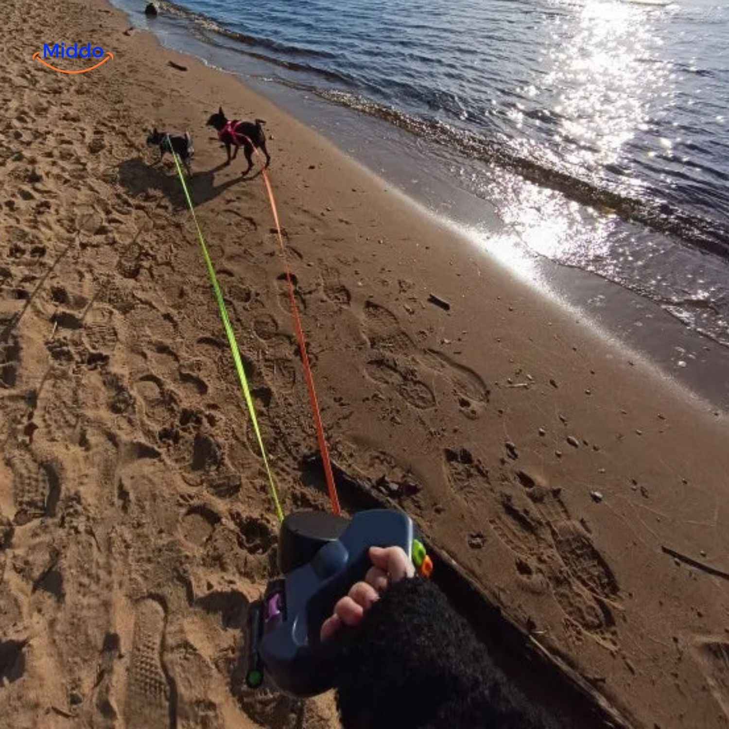 Twintails™ Easywalk | 2-in-1 Intrekbare Lijn Voor Kleine En Middelgrote Honden